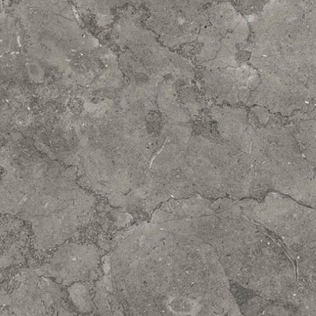 Milly Gray or Melija